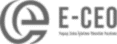 E-CEO